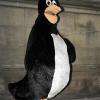 Pingouin, en location à l'Atelier la Colombe