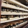 L'armoire de fers à dorer pour marquer le cuir à chaud