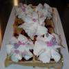 Gaufre st Valentin framboise Chantilly 2€ au lieu de 2,50€