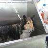 bac de lavage, pratique car très haut