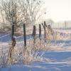 Aulnoye Aymeries sous la neige