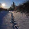 Aulnoye Aymeries sous la neige