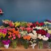 Fleurs fraîches chez le fleuriste Auteur de Fleurs, à Villefranche de Lauragais (31)