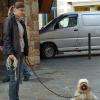 Education canine et sociabilisation lors d'une promenade dans les rues de Quimper