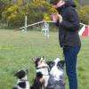 Educateur canin avec ses élèves attentifs lors d'un cours collectif sur le terrain de Plogonnec