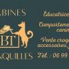 éducateur canin; comportementaliste canin; Babines Tranquilles