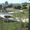 Le mini golf