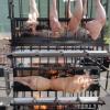 Barbecue mixte 6 niveaux (3 recto + 3 verso) pour 150 personnes: volaille, cochon de lait, rôti - par BBQ Box Bayonne avec barbecue à cuisson verticale, traiteur événementiel au Pays Basque, traiteur mariage 64, traiteur réception et séminaire région Pau - Dax - BAB
