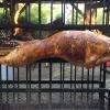 Agneau entier à la broche - par BBQ Box Bayonne avec barbecue à cuisson verticale, traiteur événementiel au Pays Basque, traiteur mariage 64, traiteur réception et séminaire région Pau - Dax - BAB - Landes 40