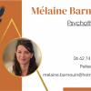 Suivie psy à Pélissanne Mélaine Barnouin
