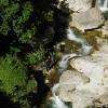 Canyoning - Gorges du Loup - Base Sport Nature
