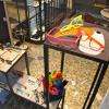 La nouvelle vitrine de Bastille Optic est en lave émaillée et metal