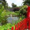au jardin botanique