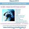 Conseils en Comportement Canin 
- Au domicile des particuliers
- A distance
