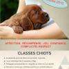 CLASSES CHIOTS  depuis 2010

Education canine positive basée sur la CONFIANCE, la COMPLICITÉ, le RESPECT, L'AFFECTION, le JEU, la RÉCOMPENSE.

Toutes les races de chien sont acceptées  dès 8 semaines d'âge

Séance de cours INDIVIDUEL et au DOMICILE DU CHIOT 