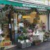 Magasin de fleurs et plantes Beaumont Fleurs