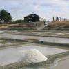 les marais salants