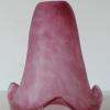 TULIPE ROSE-RUBIS REF. 825 