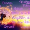 Quelques champs d'application de la sophrologie 