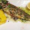 Parce qu'il en faut pour tous les goûts... Selon l'arrivage, nous vous proposons toujours un poisson frais cuisiné ! ???? A découvrir sur https://bistrololivier.com