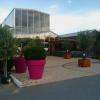 Botanic SJDV