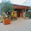 Botanic SJDV