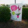 Botanic SJDV