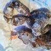 Grelot de saucissons aux noix