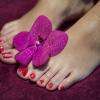 Boudoir des sens - Pose semi permanent Shellac 