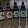 Bières la Velue, 9 déclinaisons : Brasserie Saint Mars la Bière, Saint Mars la Brière (72470)