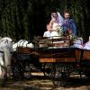 Mariage Lille pour nos amoureux, le carrosse les a emmené vers le oui.