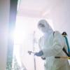 Bugsbusters - Service de destruction de nids de guêpes et frelons, Désinsectisation et désinfection : punaises de lit, blattes, puces de parquet, psoques, cafards..., Dératisation (rats, souris, rongeurs), Démoustication pour particuliers et professionnels, dans le Bas-Rhin.