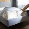 Bugsbusters - Service de destruction de nids de guêpes et frelons, Désinsectisation et désinfection : punaises de lit, blattes, puces de parquet, psoques, cafards..., Dératisation (rats, souris, rongeurs), Démoustication pour particuliers et professionnels, dans le Bas-Rhin.