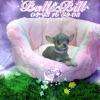Chihuahua Lilas