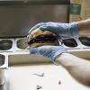 Burger vegan