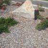 Paillage - Plaquette de peuplier 