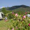 Emplacement camping