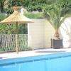 piscine, palmier parrassol que du bonheur 