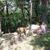 Notre mini parc animalier, pour le plus grand plaisir des tous petits