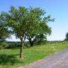 emplacement caravane