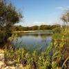 Lagune sauvage proche du Camping Les Pres Verts