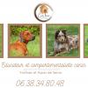Cani’house      Educateur et comportementaliste canin dans les Yvelines 78 et les Hauts de Seine 92