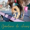 garderie de chiens
