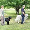 Canineland33 – Educateur et comportementaliste canin à Bordeaux et ses alentours