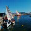 Voiles latines