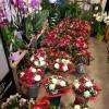 Bouquets pour la Saint Valentin 2018