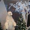 Décorations de Noël dans la galerie