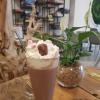 chocolat viennois nounours