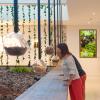 Découverte des plantes dans l'atrium