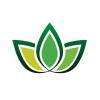 50 NDG - 50 nuances de green 